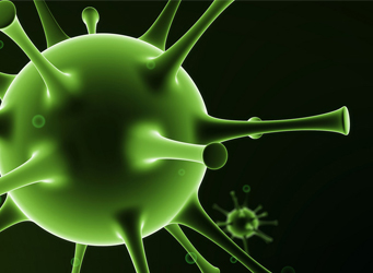 Influenza A virus甲型流感病毒多肽